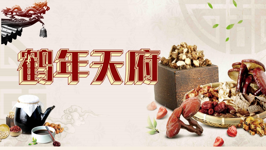 聂大猫